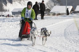 Lenk 2012 SM